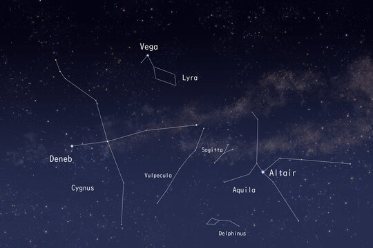 Summer Triangle with Aquila Cygnus and Lyra Diagram