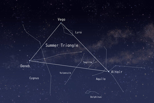 Summer Triangle Constellation Diagram Night Sky