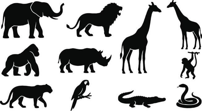 Black and white african animals vector illustration