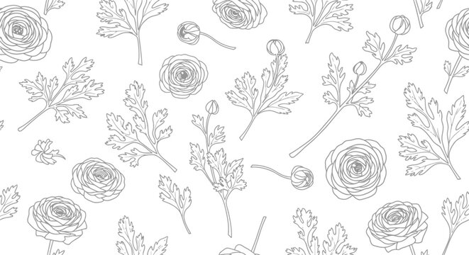 Hand-drawn floral fabric pattern vector seamless background with ranunculus flowers and leaves