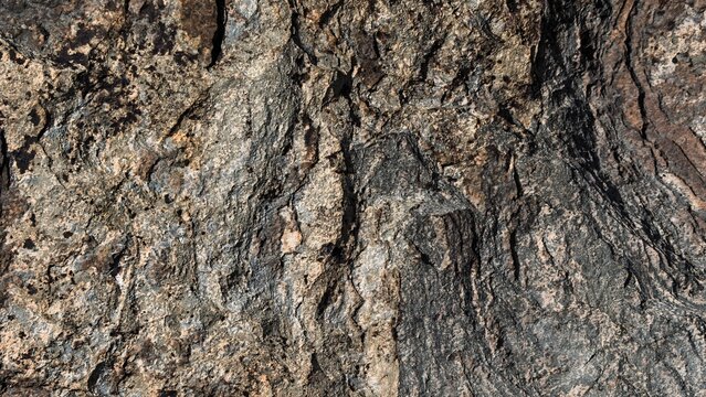 Rough surface of natural gneiss rock formation showing colorful texture