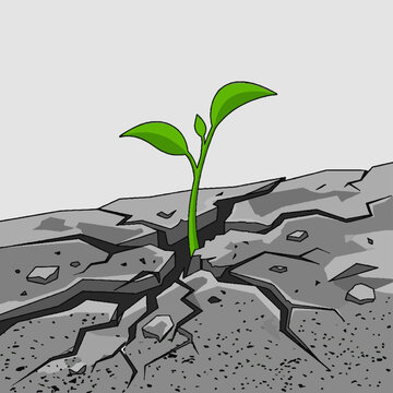 Small green plant growing through cracked earth.