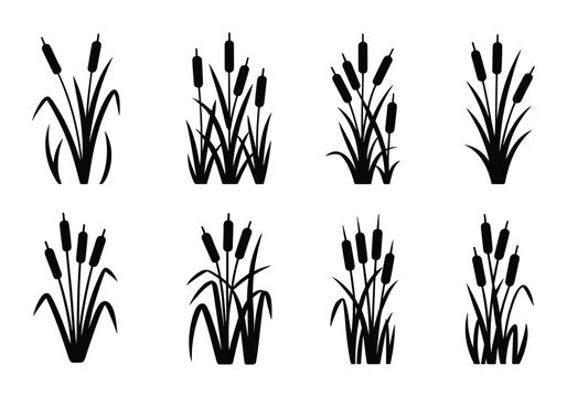 Reed Grass Silhouette Collection, Set of eight black silhouette of cattail plants with long leaves and cylindrical flower spikes arranged in two rows on a white background