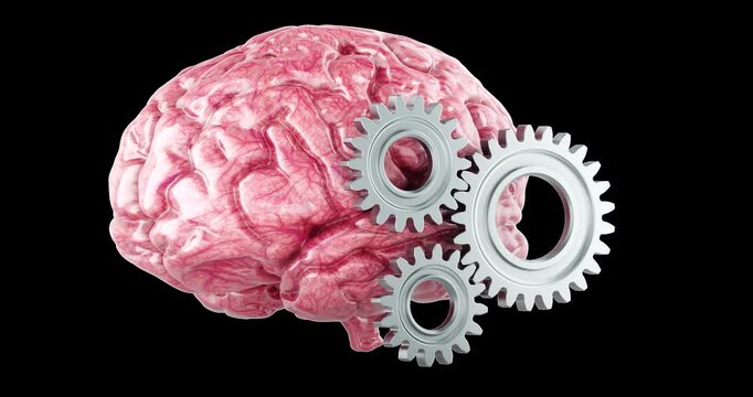 Brain with gears rotation animation seamlessly loopable. 3D rendering isolated on transparent background