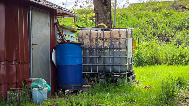 Rainwater harvesting system with large white ibc tank and blue barrel by a garden shed