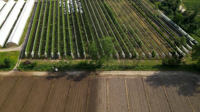 Rural greenhouse complex in Italy. Agricultural production areas with flower fields, orchards and sustainable farming landscapes.