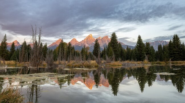 Mountain peaks at dawn, Grand Teton Range mountain range at sunrise, reflection in lake, autumn vegetation, Schwabacher Landing, Grand Teton National Park, Wyoming, USA