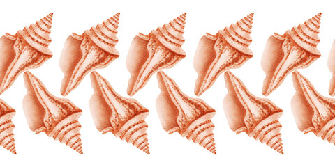 Watercolor seamless border featuring hand drawn conch seashells. Nautical repeating pattern with sea shells. Children's, nautical, travel themes. Suitable for design, prints, postcards, sea travel © Elli