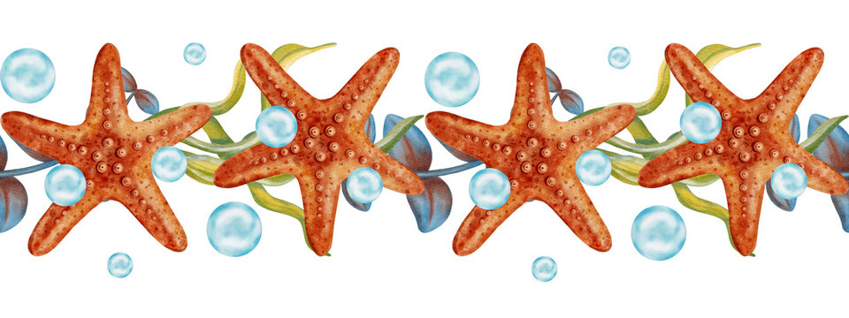 Seamless watercolor border with starfish, seashells, seaweed and pearls. Hand painted marine life illustration. Children's, nautical, travel themes. Suitable for design, prints, postcards, sea travel