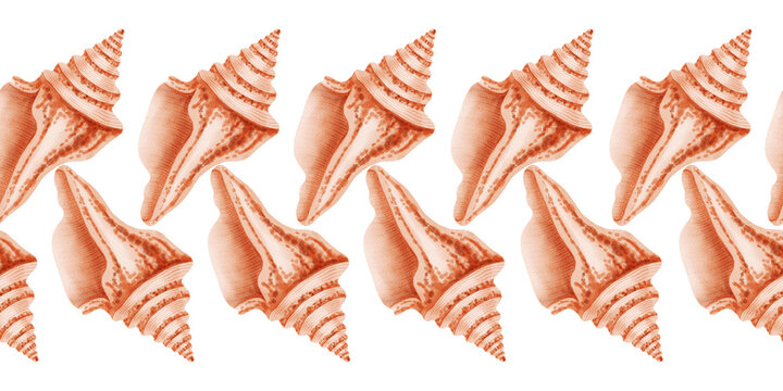 Watercolor seamless border featuring hand drawn conch seashells. Nautical repeating pattern with sea shells. Children's, nautical, travel themes. Suitable for design, prints, postcards, sea travel