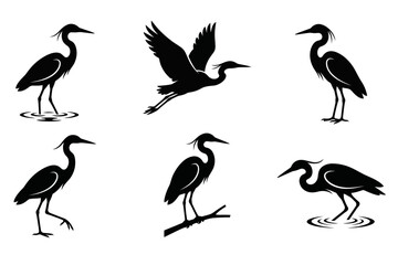 Fototapeta premium Black heron crane and egret bird silhouettes set in various poses