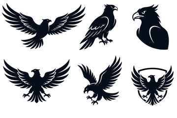 Fototapeta premium Black Eagle and Hawk Silhouette Icons for Logo and Badge Design