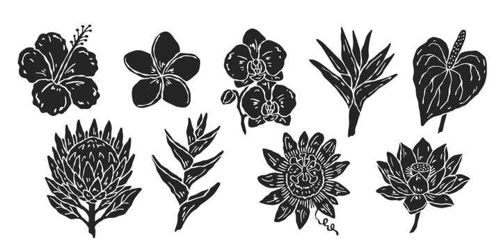 Hand-drawn tropical flower vector silhouette set in  minimal style. Hibiscus, plumeria, orchid and more. Simple elegant shapes for summer prints, branding and decor