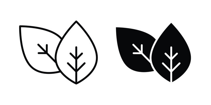 Basil icon vector design concept in black color