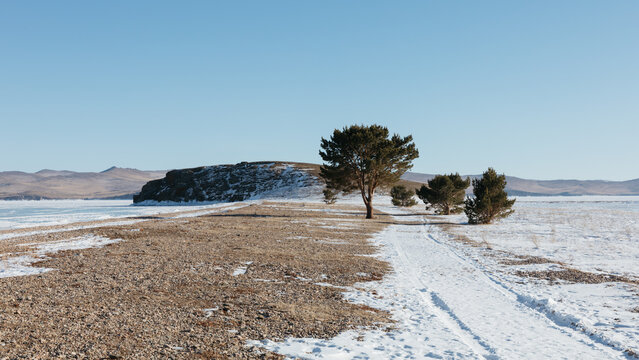 Wide winter view of Lake Baikal in the Maloye More strait with pine trees on a snowy sandy spit, frozen water and distant hills under a clear blue sky