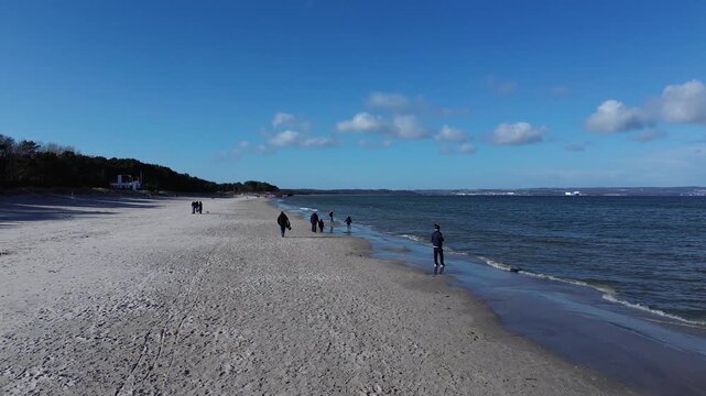 Insel R&uuml;gen - M&ouml;wen am Strand von Prora