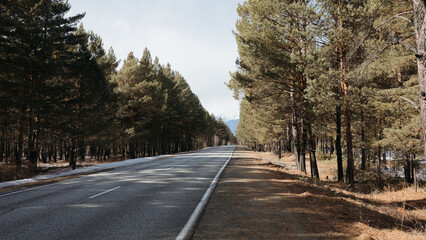 Obraz premium Straight asphalt road running through a pine forest with patches of snow and distant mountains on the horizon near Arshan, Republic of Buryatia, Russia