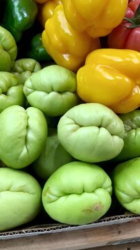Pimientos chuchos portugues 