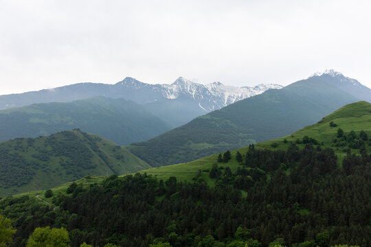 Wide view of Karmadon Gorge with lush green hills, dense forest and distant snowcapped Caucasus Mountains under cloudy sky, North Ossetia&ndash;Alania, Russia