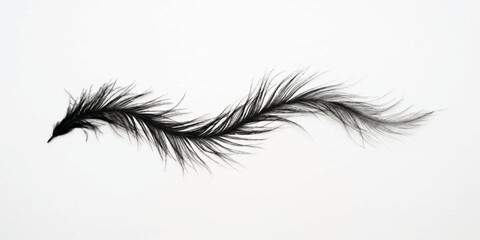 Macro shot of a single delicate black swan feather with a soft fluffy plume isolated on a white background near the deep black eye of a woman in an abstract nature composition © YEASMIN