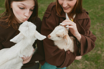 Fototapeta premium Two young women interact with playful kid goats outdoors, sharing a gentle moment in a rural, sunlit pasture setting. A candid lifestyle scene highlighting bonding with animals and simple joy.