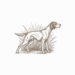 Fototapeta premium Elegant Engraving of a Pointer Dog Standing Alertly in Profile.