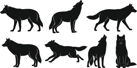 Black, and, white, wolf, silhouette, set, of, six, howling, running, standing, and, sitting, poses, predator, wildlife, forest, animal, canis, lupus © MdAbdul