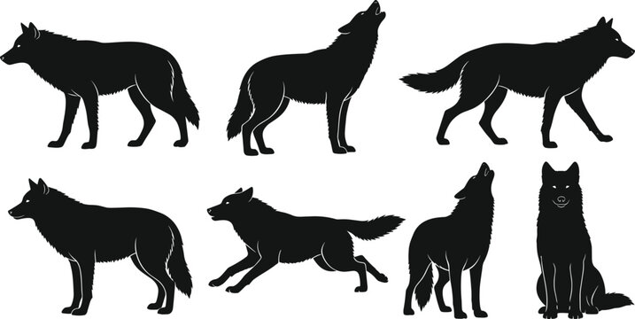 Black, and, white, wolf, silhouette, set, of, six, howling, running, standing, and, sitting, poses, predator, wildlife, forest, animal, canis, lupus