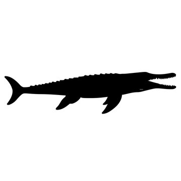 Mosasaurus Silhouette &ndash; Flat Vector Plotter Cut File