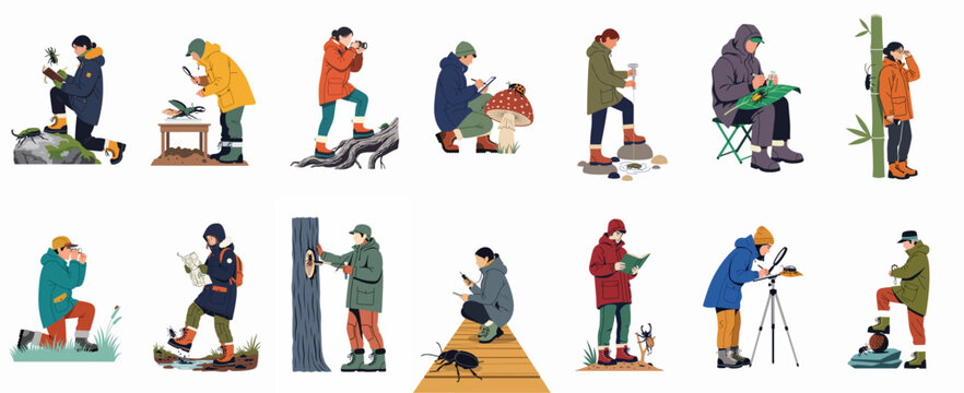 Collection of entomologists and nature lovers studying and documenting insects and beetles in various outdoor environments, flat vector illustration.