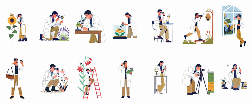 Scientists and entomologists in lab coats studying bees, flowers, and beehives in various outdoor and laboratory settings.