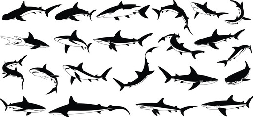 Collection of black and white shark silhouettes in various poses © MDSHAHIN