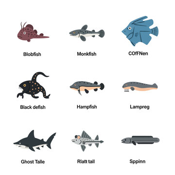 Demersal Ocean Species Grid Visualization for Marine Research and Biodiversity Analysis
