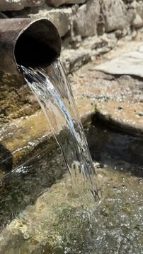 Natural Forest Stream Flowing from a Spring Realistic Waterfall, Fountain Cascade, Ripple Mist in a Woodland Landscape Fresh Water Source Scenic Nature Footage