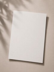 Fototapeta premium image.png