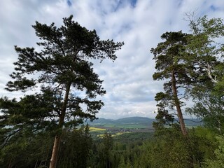 Fototapeta premium clouds over the forest