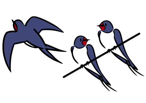 ツバメのイラストセット。アイソメトリック図。鳥のイラスト。