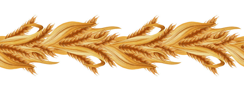 Watercolor seamless frame of golden wheat ears and grains. A hand-drawn horizontal pattern of agricultural grain stems for decorating a bakery, farm, or bakery.