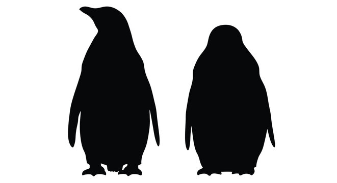 Two emperor penguins in black silhouette against a white background