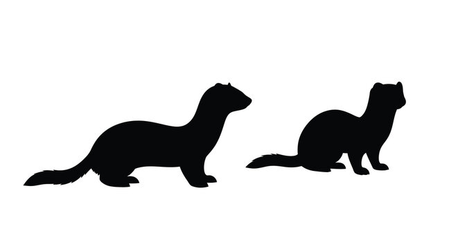 Two ferrets in profile black silhouette on a white background