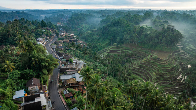 Misty morning aerial view of a village and rice terraces in Ubud, Bali, Indonesia