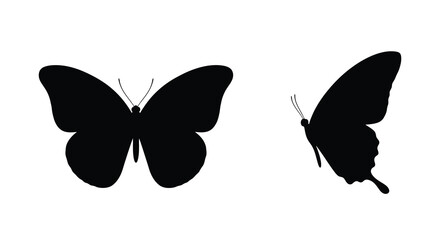 Two black butterfly silhouettes with outstretched wings against a white background silhouette © Gahima