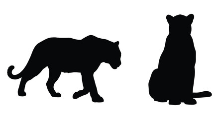 Jaguar silhouettes in walking and seated poses against a white background silhouette © Gahima