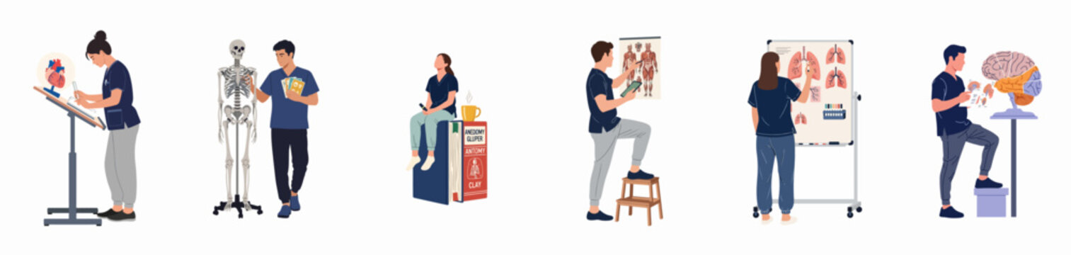 Collection of diverse medical students and professionals studying human anatomy with models, books, and charts in a flat vector style.