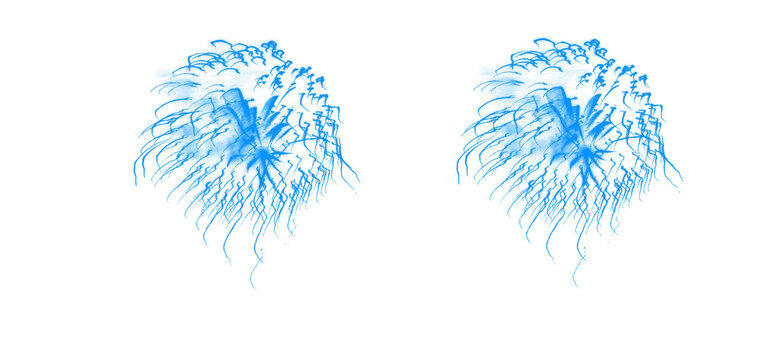 Blue dandelion clock fluffy seeds vector illustration, minimalist style