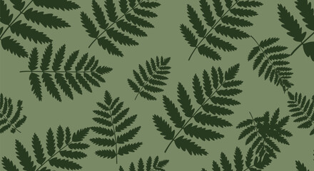 Dark green fern leaves pattern on olive background camouflage style natural foliage repeat for textile and design purposes. © shamim
