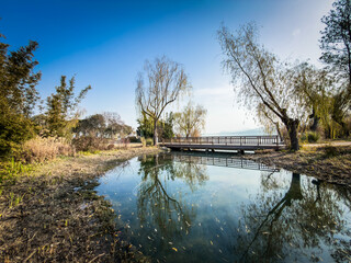 Obraz premium Tranquil Lakeside Retreat with Reflections and Lush Greenery Under Clear Blue Skies