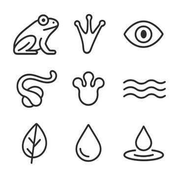 Minimalist nature icons: frog, wave, leaf, water drop, eye, spirals