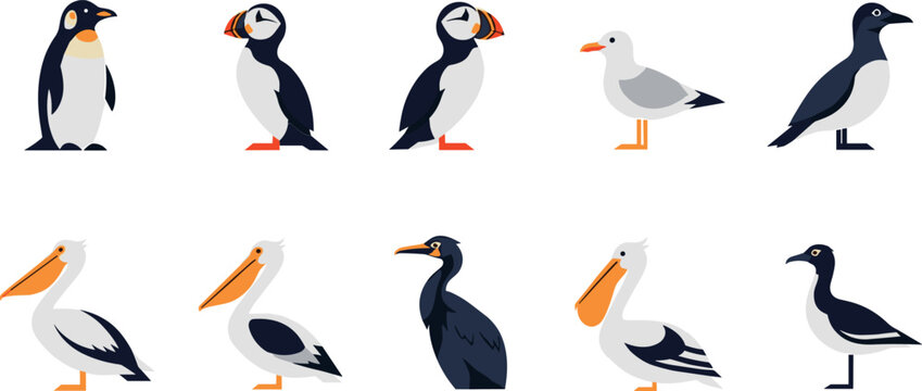 Coastal seabird icon collection with penguin puffin gull pelican and water birds for wildlife design