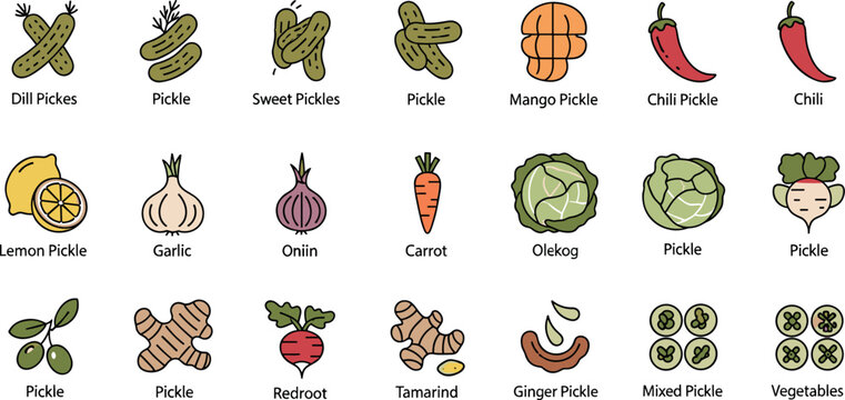 Colorful pickle vegetable icon collection with cucumber chili lemon garlic onion carrot cabbage ginger and tamarind for food design